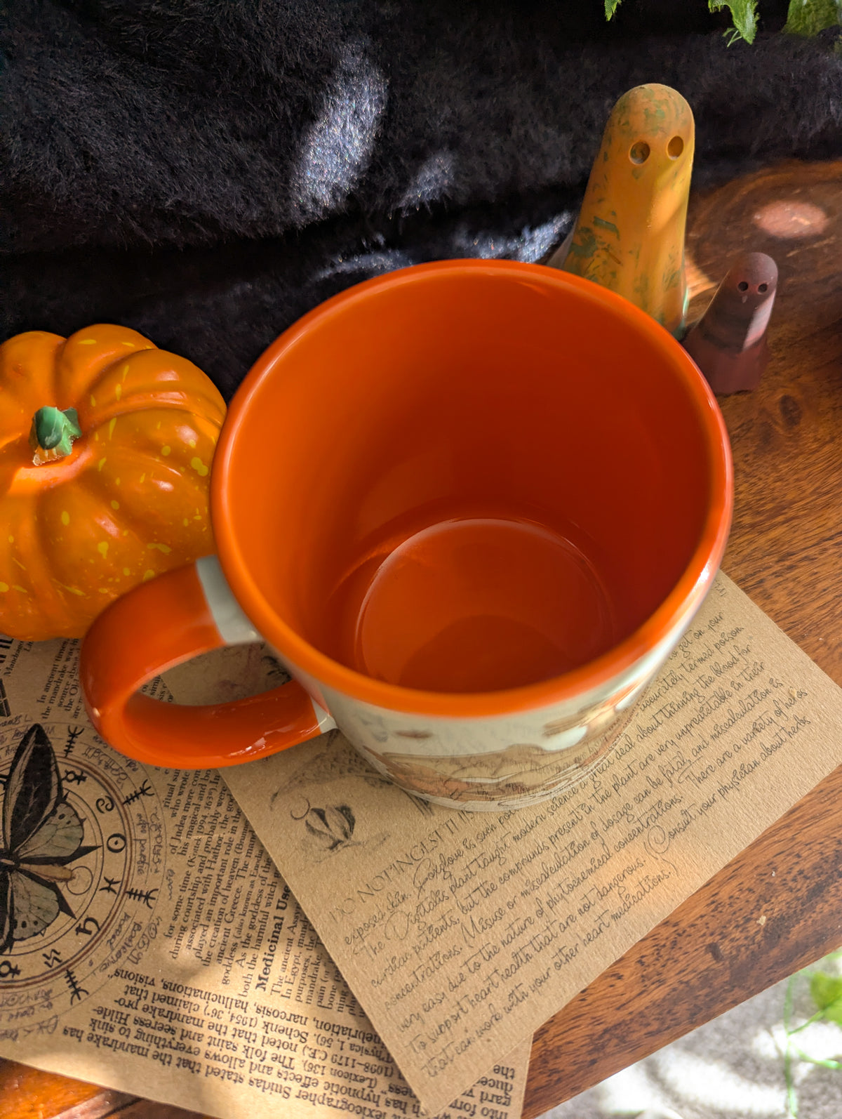 Pumpkin Dragons Ceramic Mug