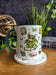 Matcha Dragons Mug