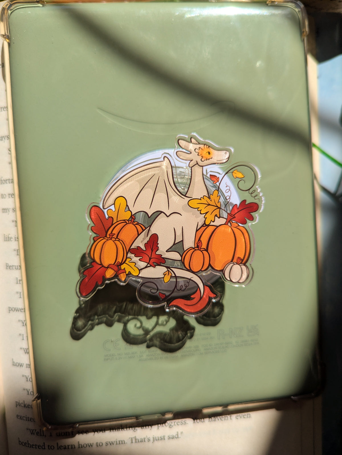 Pumpkin Guardian E-Reader/Kindle Grip