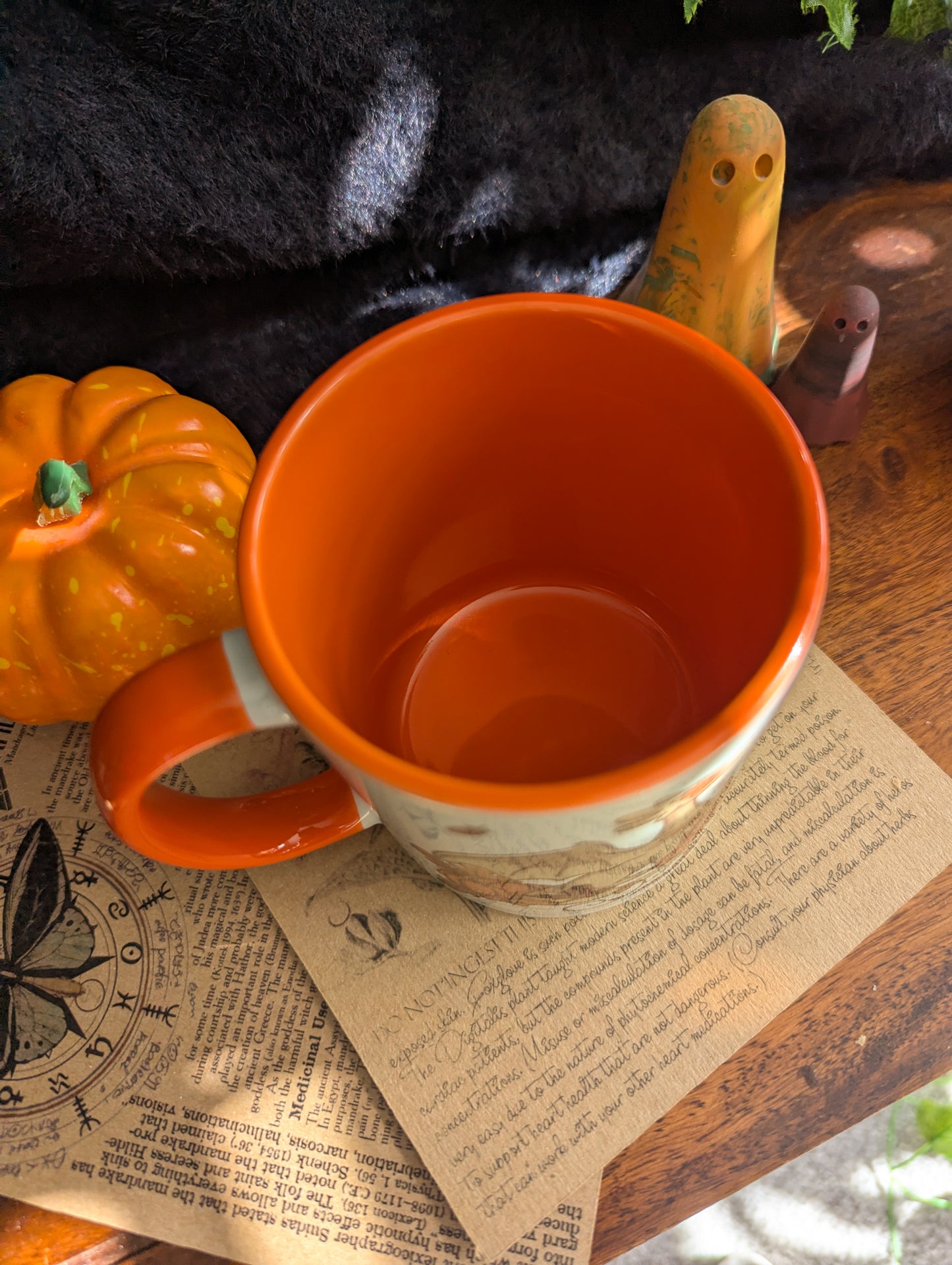 Pumpkin Dragons Ceramic Mug
